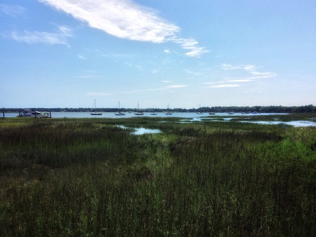 Salt marsh grass in the foreground and sailboats moored on the Intracoastal Waterway at Beaufort, South Carolina