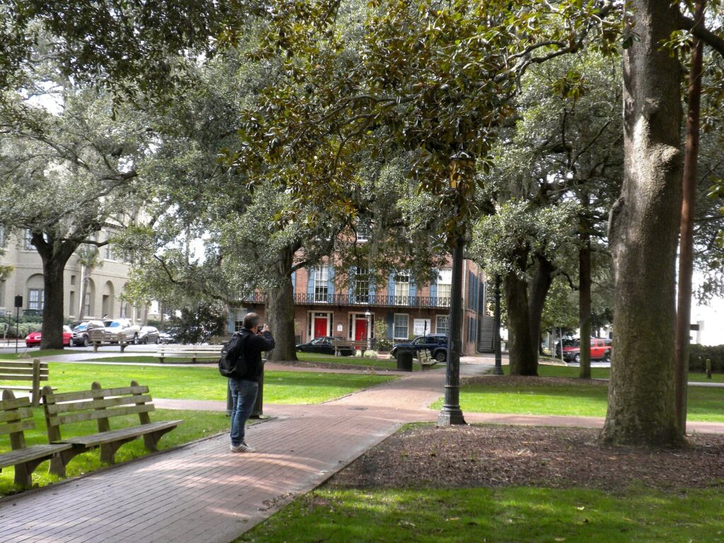 A man walking along a brick path past benches and live oaks in Johnson Square, Savannah