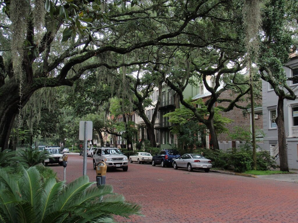 Getting around Savannah GA: a brick street under live oaks lined with parked cars and parking meters