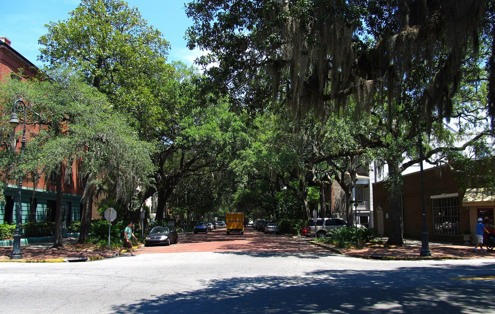 Live oaks hung with Spanish moss arching over brick-paved Jones Street at its corner with Bull Street in Savannah