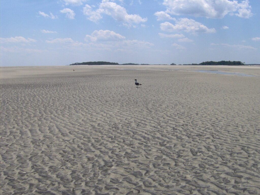 A wide, flat expanse of rippled sand at low tide on Tybee's south end, with a gull and distant islands
