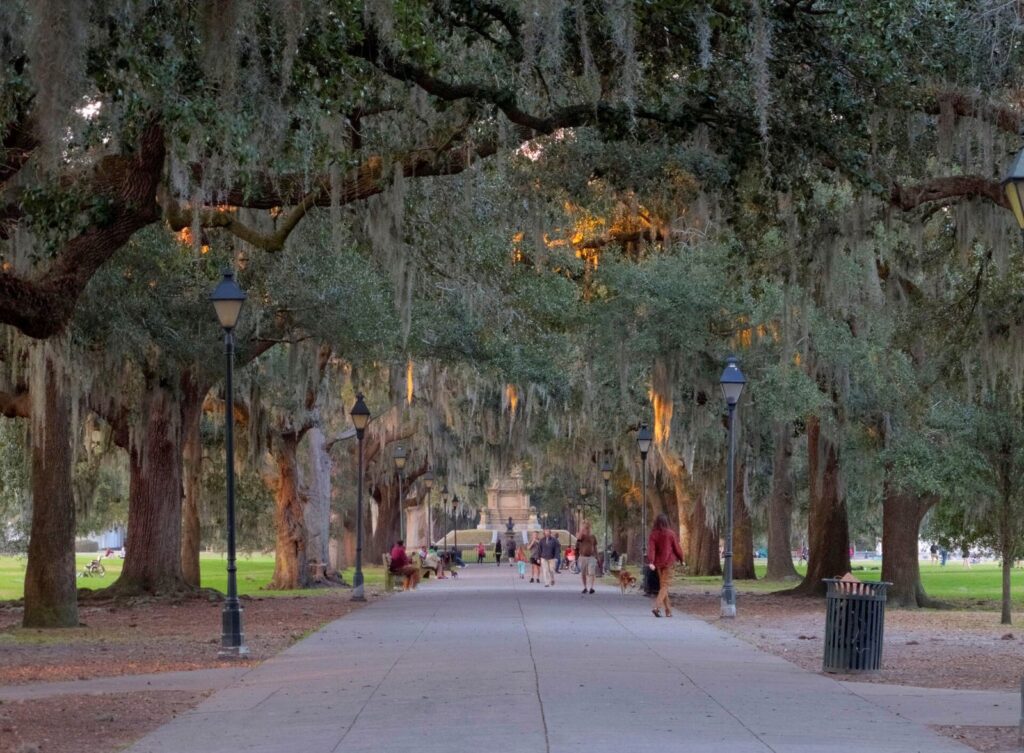 Forsyth Park visitor guide: live oaks hung with Spanish moss arching over the central walk in Savannah's Forsyth Park