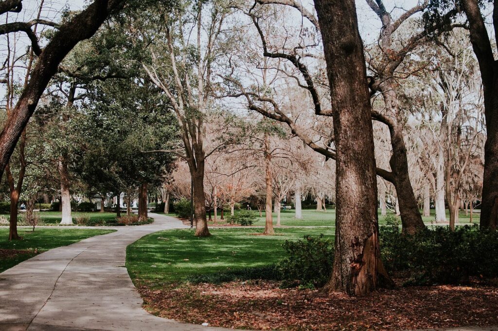 A curving paved path winding between tall oaks and lawns in Forsyth Park, Savannah