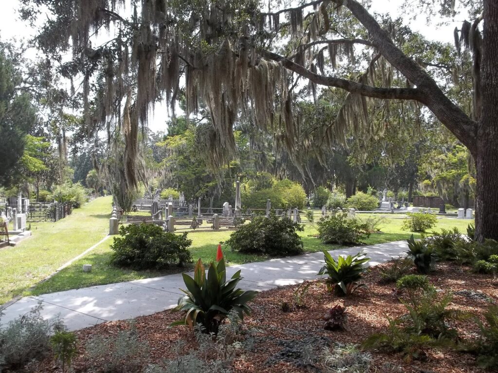 Halloween events in Savannah set the mood: Spanish moss hanging over monuments and paths in Laurel Grove Cemetery