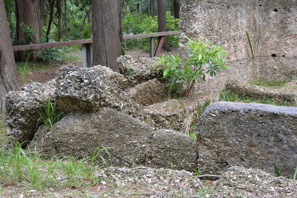 Crumbling tabby walls and blocks among trees at Wormsloe State Historic Site near Savannah